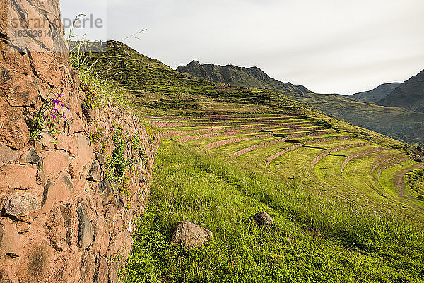 Blick von der Inka-Zitadelle der Ruinen von Pisac  Pisac  Heiliges Tal  Peru  Südamerika