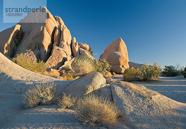 Joshua-Tree-Nationalpark  Kalifornien  USA