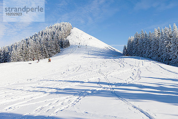 Skispuren auf verschneiter Piste