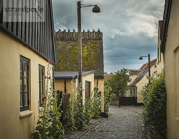 Alte Häuser in einer gepflasterten Straße  Dragor  Seeland  Dänemark