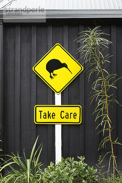 Kiwi-Vogelschild  Auckland  Neuseeland