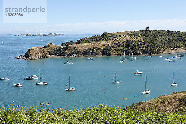 Hafen und Boote Waiheke Island  Auckland  Neuseeland