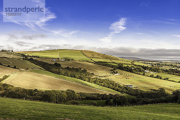 Feldlandschaft  Grafschaft Kerry  Irland