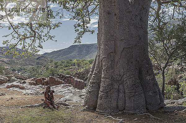 Himba-Frau in der Nähe eines Babab  Namibia  Afrika