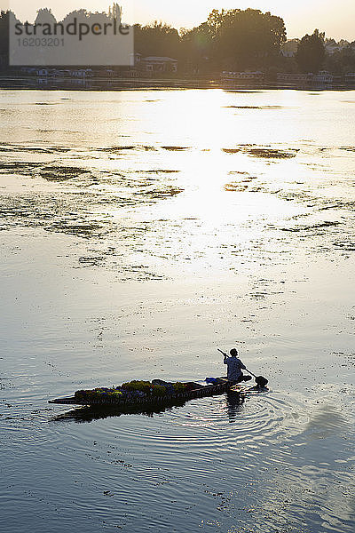 Boot mit Silhouette auf dem Dal-See  Srinagar  Kaschmir  Indien