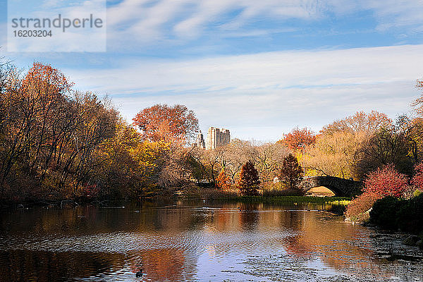 Gapstow Bridge am Teich im Central Park im Herbst  Manhattan  New York City  USA