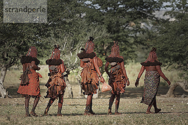Gruppe von Himba-Frauen  die weggehen  Rückansicht  Namibia  Afrika
