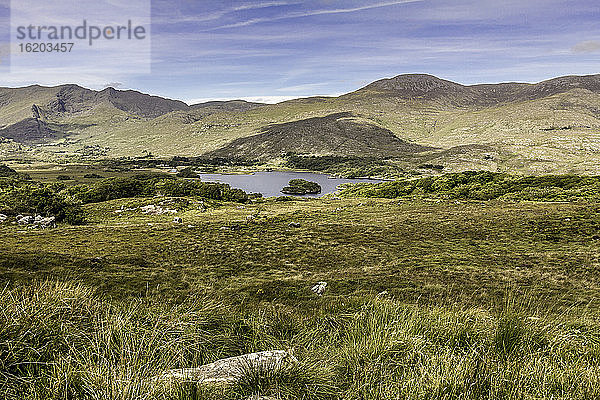 Ladys View  Straße von Kenmare nach Dingle  Grafschaft Kerry  Irland