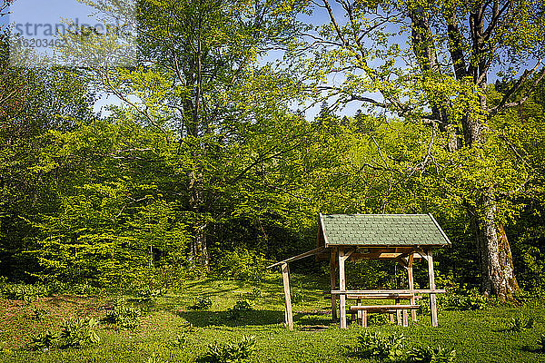 Picknick-Hütte und Bäume  Pecina Megara bei Tarcin  Bosnien und Herzegowina