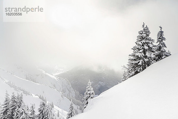 Bergblick im Winter Reutte  Tirol  Österreich