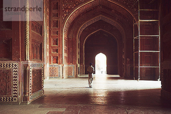 Innenansicht der Taj Mahal Moschee  Agra  Uttar Pradesh  Indien