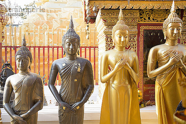 Buddha-Statuen im Wat Phra That Doi Suthep  Chiang Mai  Thailand