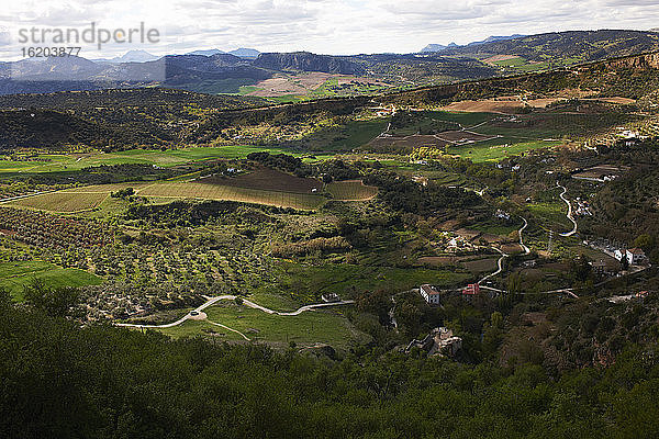 Landschaftsansicht von Ronda  Malaga  Andalusien  Spanien