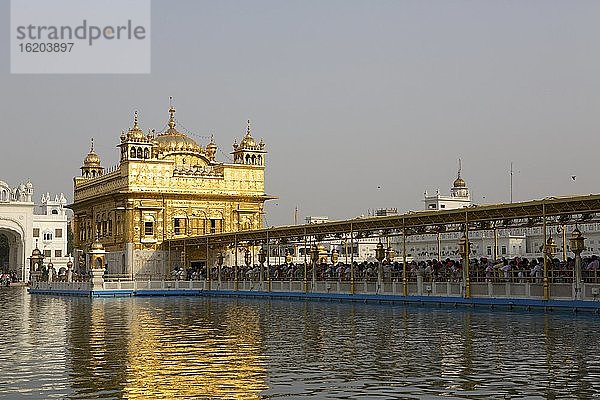 Goldener Tempel  Amritsar  Punjab  Indien  Asien