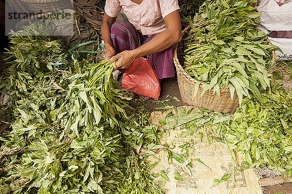 Frau sortiert Gemüse auf dem lokalen Markt  Bagan  Myanmar