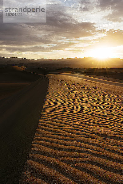 Mesquite-Sanddünen in der Morgendämmerung  Death Valley National Park  Kalifornien  USA