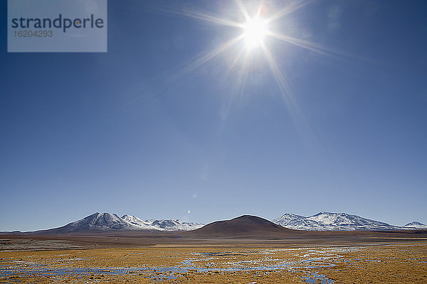 Altiplano  Hochplateau  San Pedro de Atacama  Antofagasta  Chile