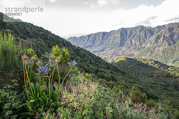 Inlandstal  Madeira  Portugal