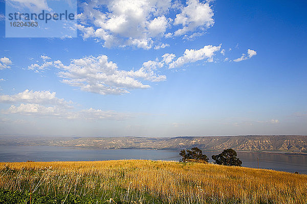 Israel  Unteres Galiläa  Blick auf das Meer von Galiläa