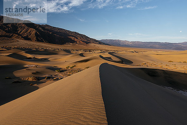 Mesquite-Sanddünen in der Morgendämmerung  Death Valley National Park  Kalifornien  USA