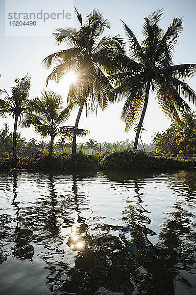 Keralische Backwaters  Nord-Paravoor  Kerala  Indien