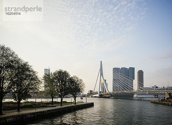 Erasmusbrücke  Rotterdam  Niederlande