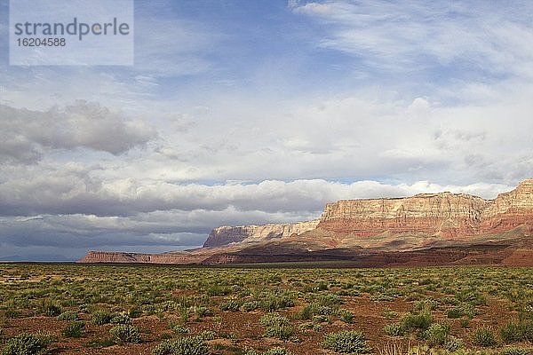 Trockene Landschaft des Grand Canyon  Arizona  USA