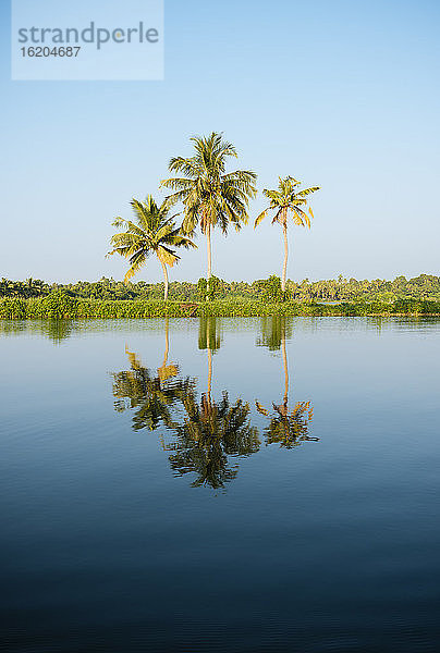 Keralische Backwaters  Nord-Paravoor  Kerala  Indien