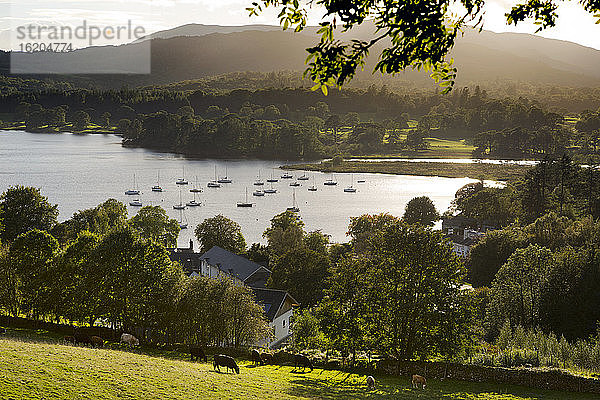 Windermere-See  Lake District National Park  England