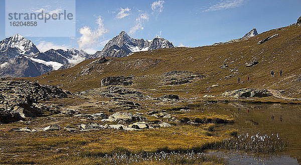 Matterhorn  Schweizer Alpen  Schweiz