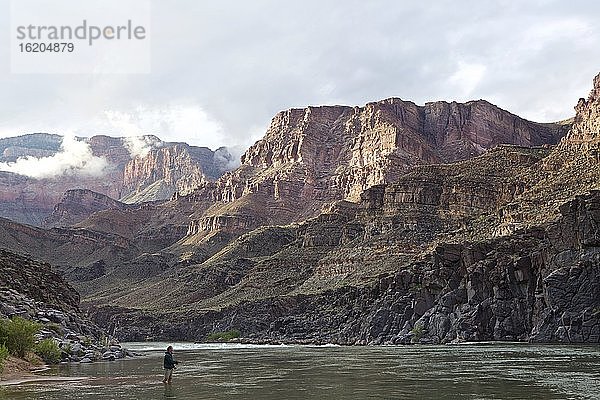 Person watet im Colorado River  Grand Canyon  Arizona  USA
