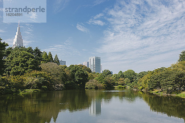 Blick auf den See im Shinjuku Gyoen National Garden  Tokio  Japan