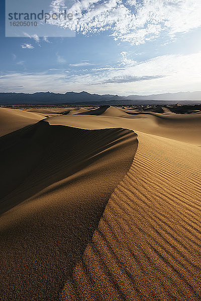 Mesquite-Sanddünen in der Morgendämmerung  Death Valley National Park  Kalifornien  USA