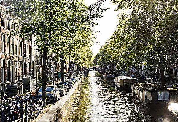 Kanal  Stadtteil Jordaan  Amsterdam  Niederlande