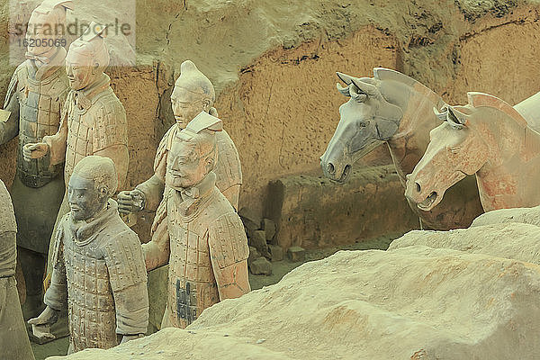 Hochformatige Ansicht der Terrakotta-Armee  Krieger und Pferde  Xian  China