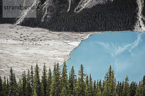 Aussichtspunkt mit Blick auf den Peyto Lake  Lake Louise  Alberta  Kanada