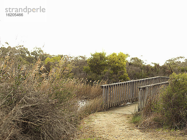 Hölzerne Fußgängerbrücke über Feuchtgebiete  Anglesea  Victoria  Australien