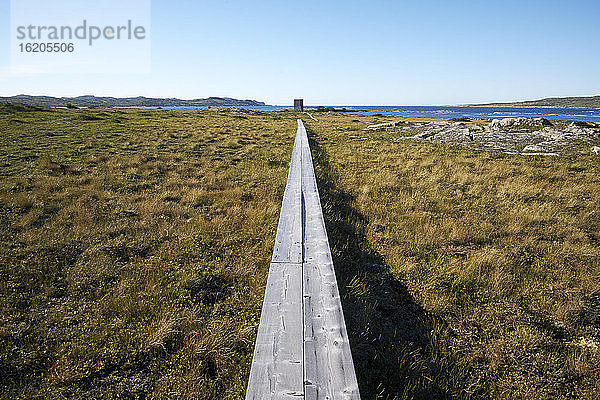 Erhöhter Holzsteg in Küstennähe  Fogo Island  Kanada