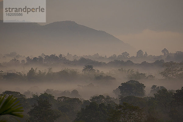 Nebelige Morgendämmerung über Las  Goldenes Dreieck  Chiang Rai  Thailand