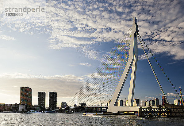 Erasmusbrücke  Wilhelminakade  Rotterdam  Niederlande