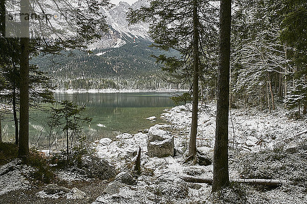 Verschneite Landschaft mit Wäldern rund um den Eibsee  Zugspitze  Bayern  Deutschland