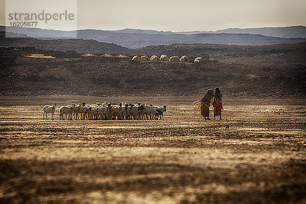 Zwei Hirten im Gespräch vor ihrer Herde  Lac Abbe  Dschibuti  Afrika