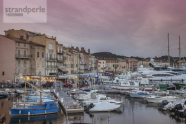 Fischerboote und Luxusjachten im Hafen von St. Tropez bei Sonnenuntergang  Provence  Frankreich