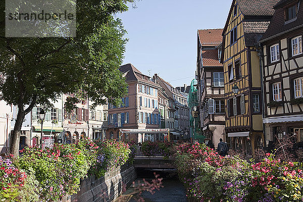 Mittelalterliche Häuser entlang des Kanals  Colmar  Elsass  Frankreich. Elsässische Weinstraße