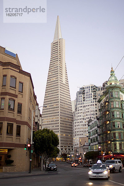 Stadtbild mit Transamerica Pyramid  San Francisco  Kalifornien  USA