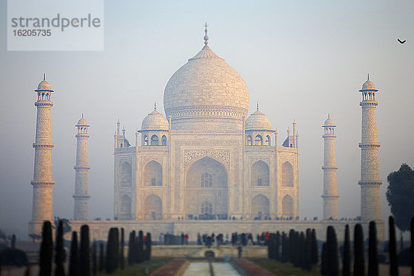 Blick auf das Taj Mahal im Nebel  Agra  Uttar Pradesh  Indien