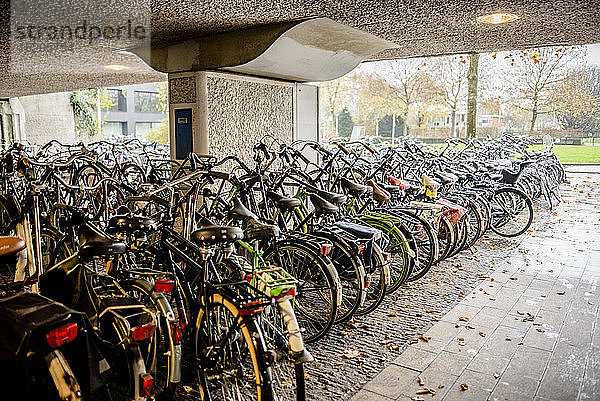 Fahrradparkplatz am Bahnhof  unter einer Brücke  Amsterdam  Niederlande