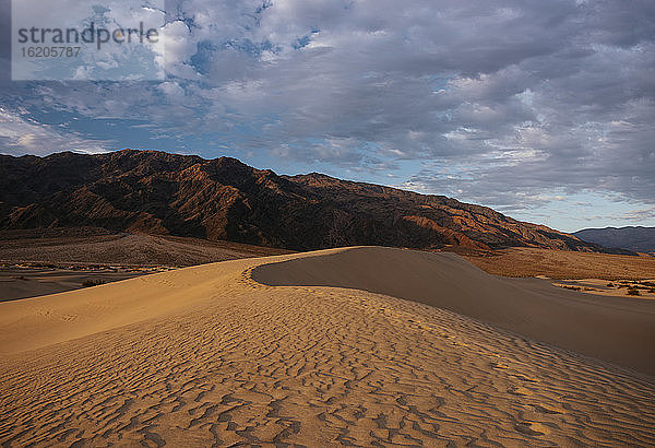 Dünen in der Morgendämmerung  Death Valley National Park  Kalifornien  USA