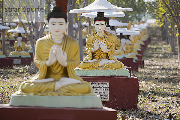 Reihen von Buddha-Statuen  Bodhi Tataung  Monywa  Birma