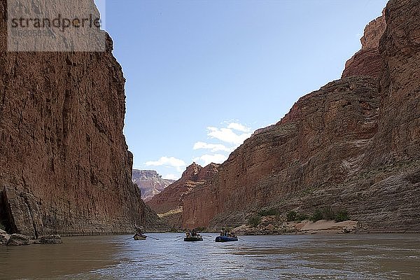 Ruderboote auf dem Colorado River  Grand Canyon  Arizona  USA